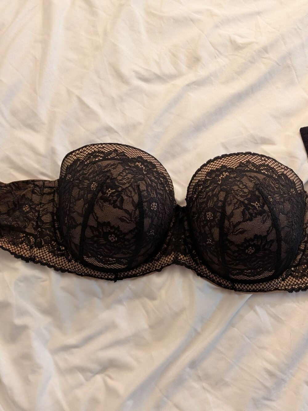 Torrid Curve 44DD Push-Up Strapless Bra